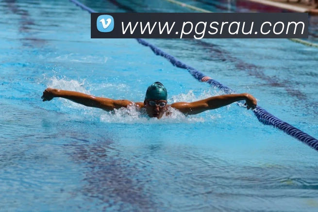 澳门新葡京官方入口平台生态图