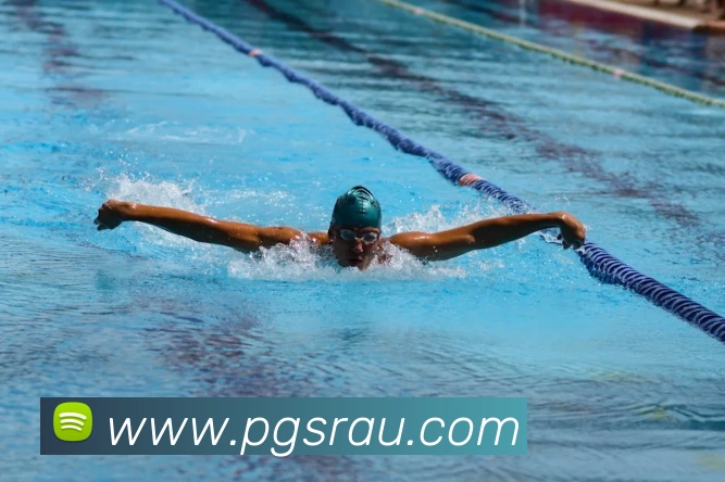 澳门新葡京官方入口全站App